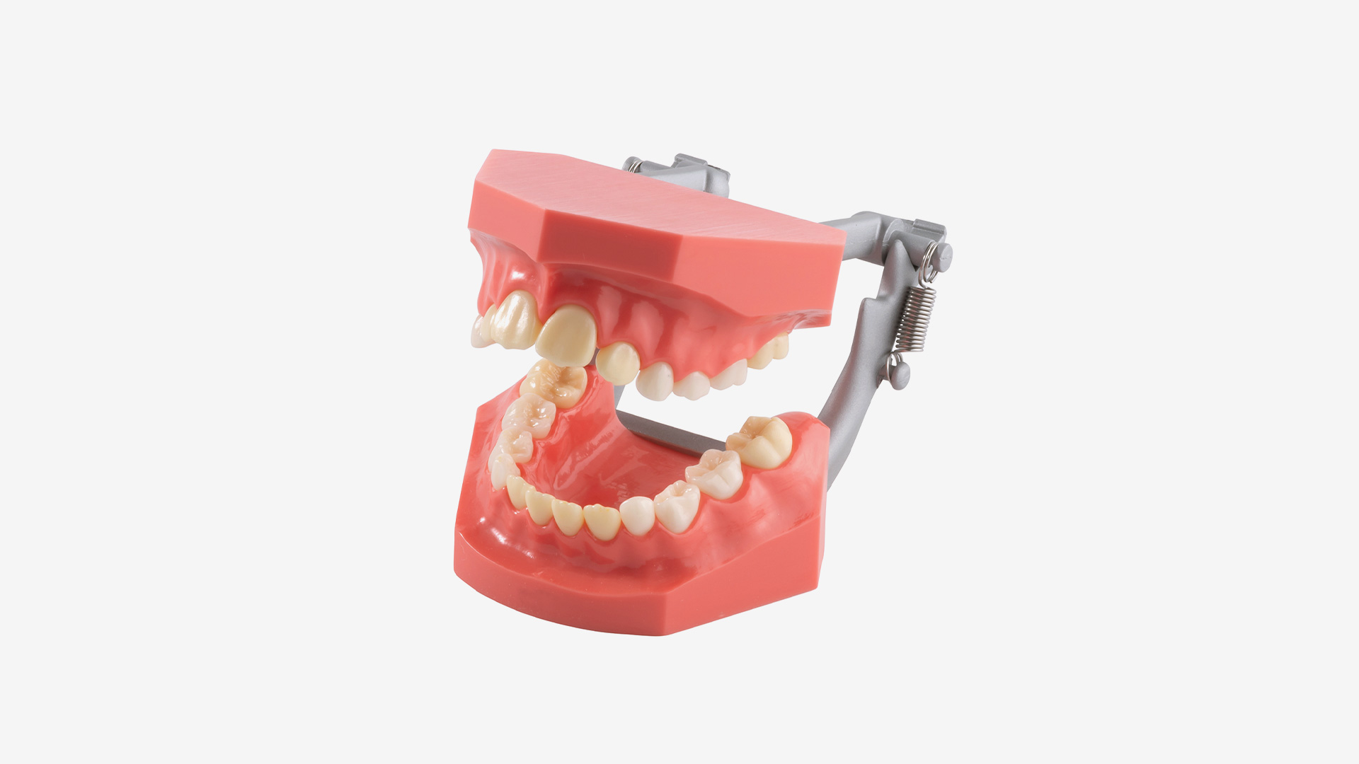 P4D-407F Überbiss Demonstrationsmodell