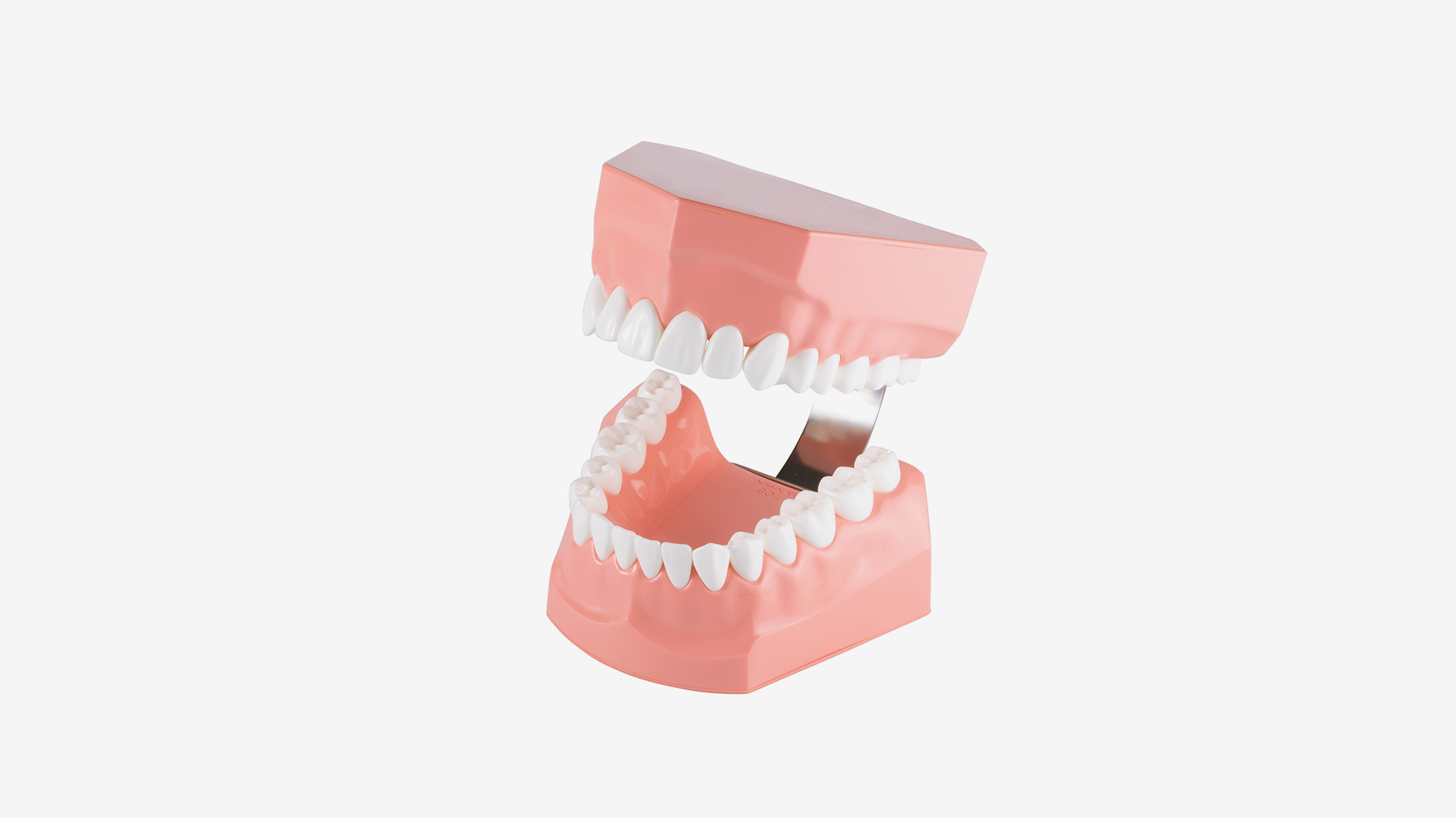 P3B-705 Zahnputzmodell