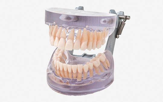 Demonstrations   Studienmodelle