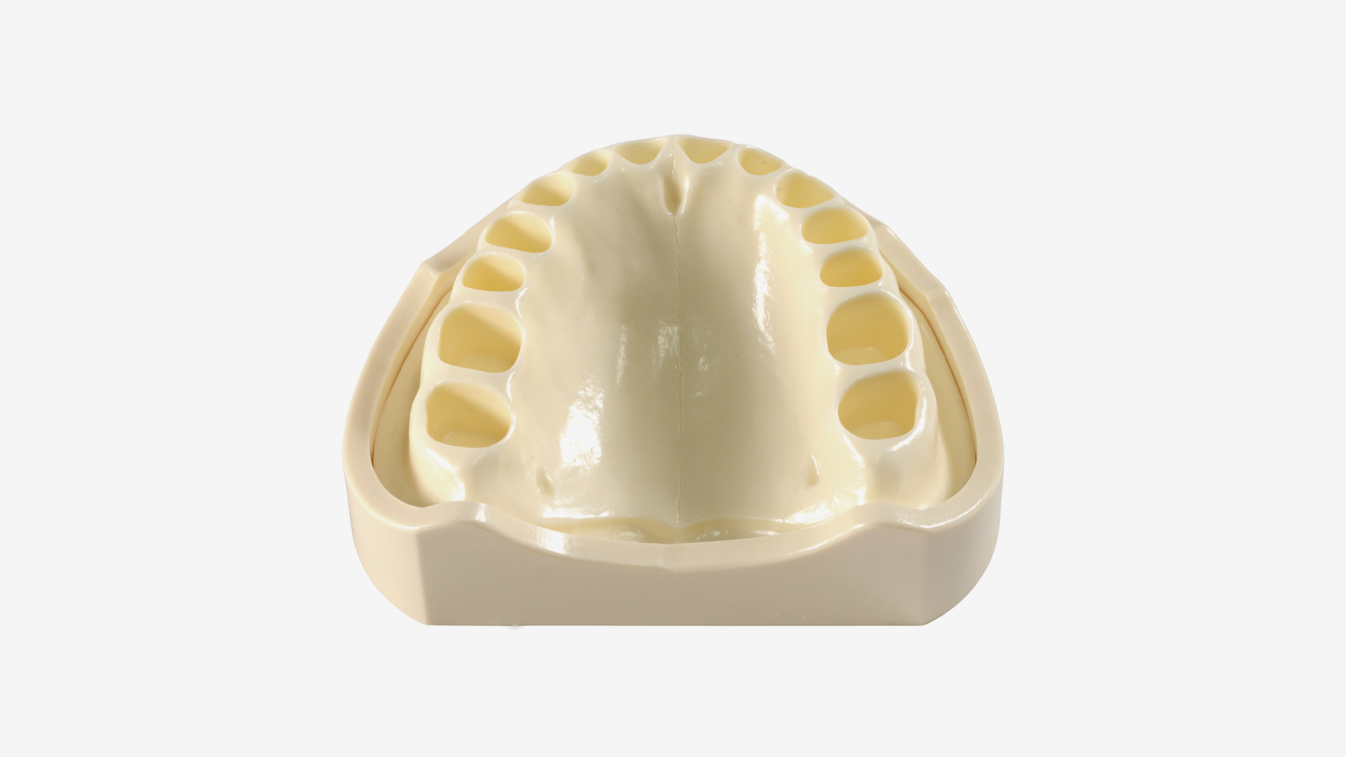 MD15-500 U Basismodell Oberkiefer